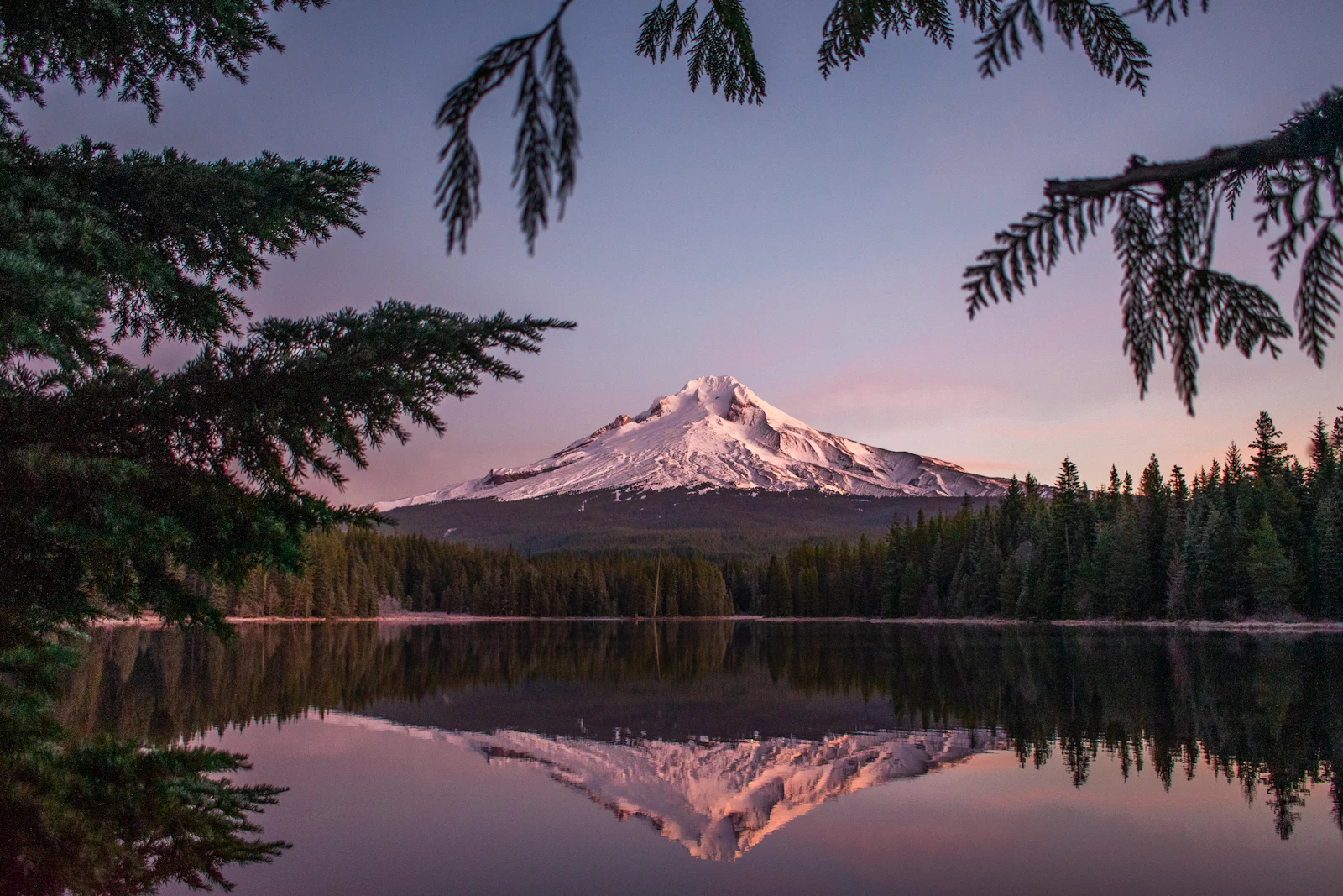 Mount Hood at alpenglow reflected in Trillium Lake